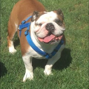 Meet your Posher, Daniel